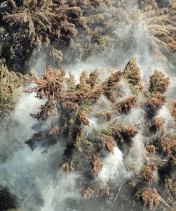 2011.02.24 1 2011.02.24 1