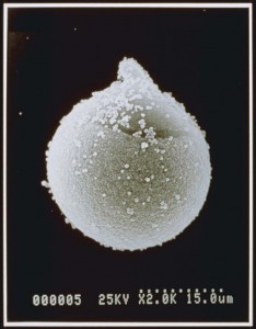 2011.02.24 3 2011.02.24 3